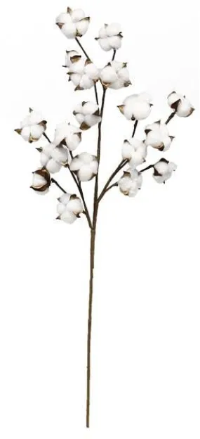 31.5" Cotton Spray