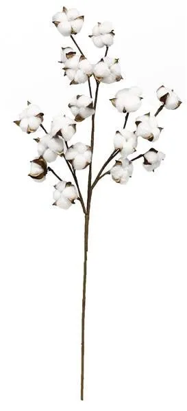 31.5" Cotton Spray