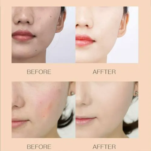 Mushroom Head Air Cushion BB CC Cream Concealer Foundation Stick Moisturizing