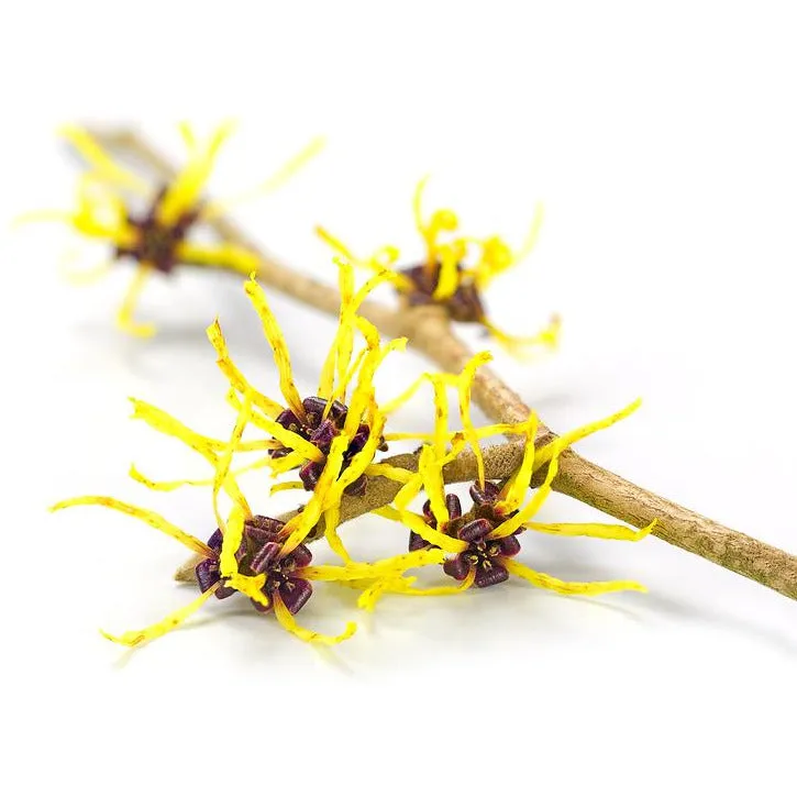 Purifying Facial Toner, Verbena   Calendula