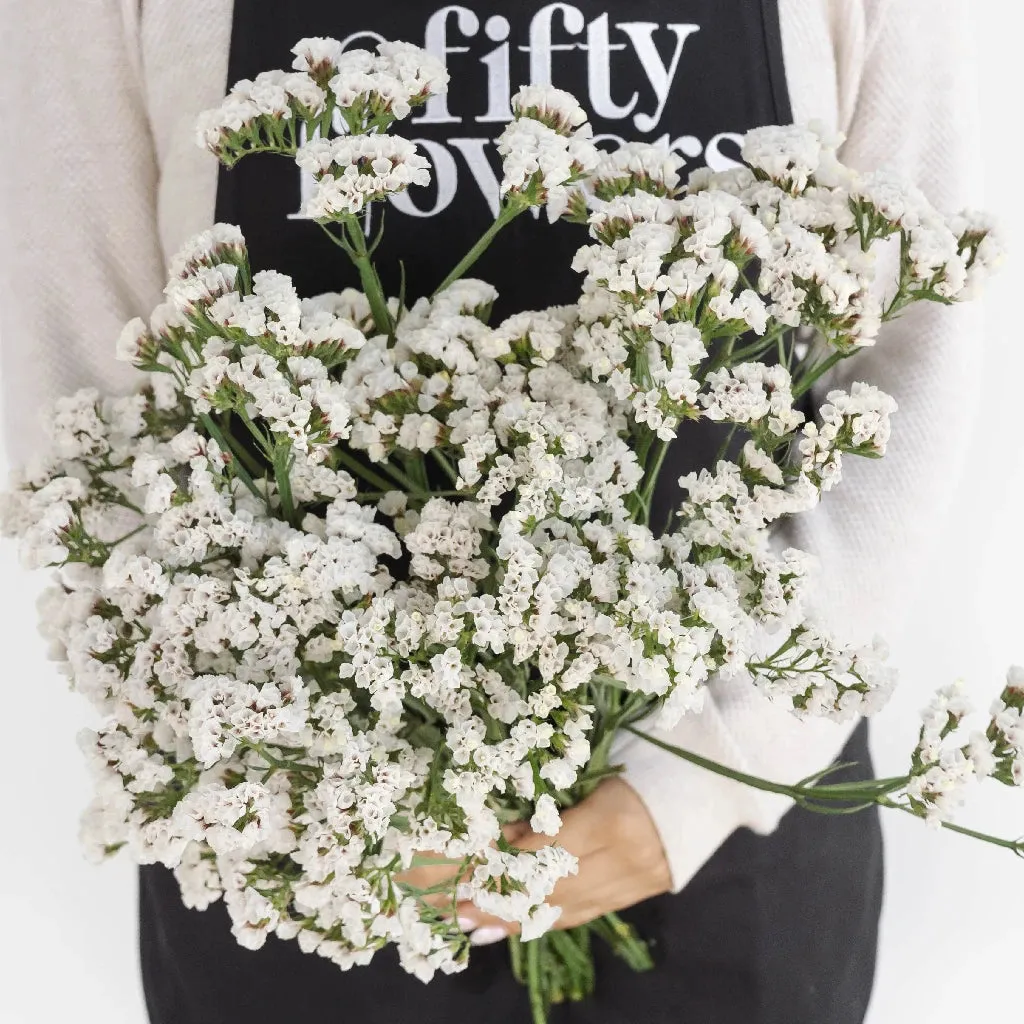 White Tissue Culture Statice Flower